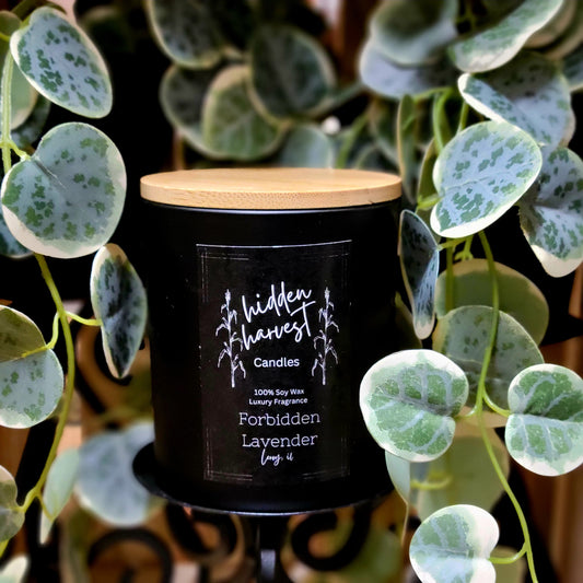 Forbidden Lavender Candle