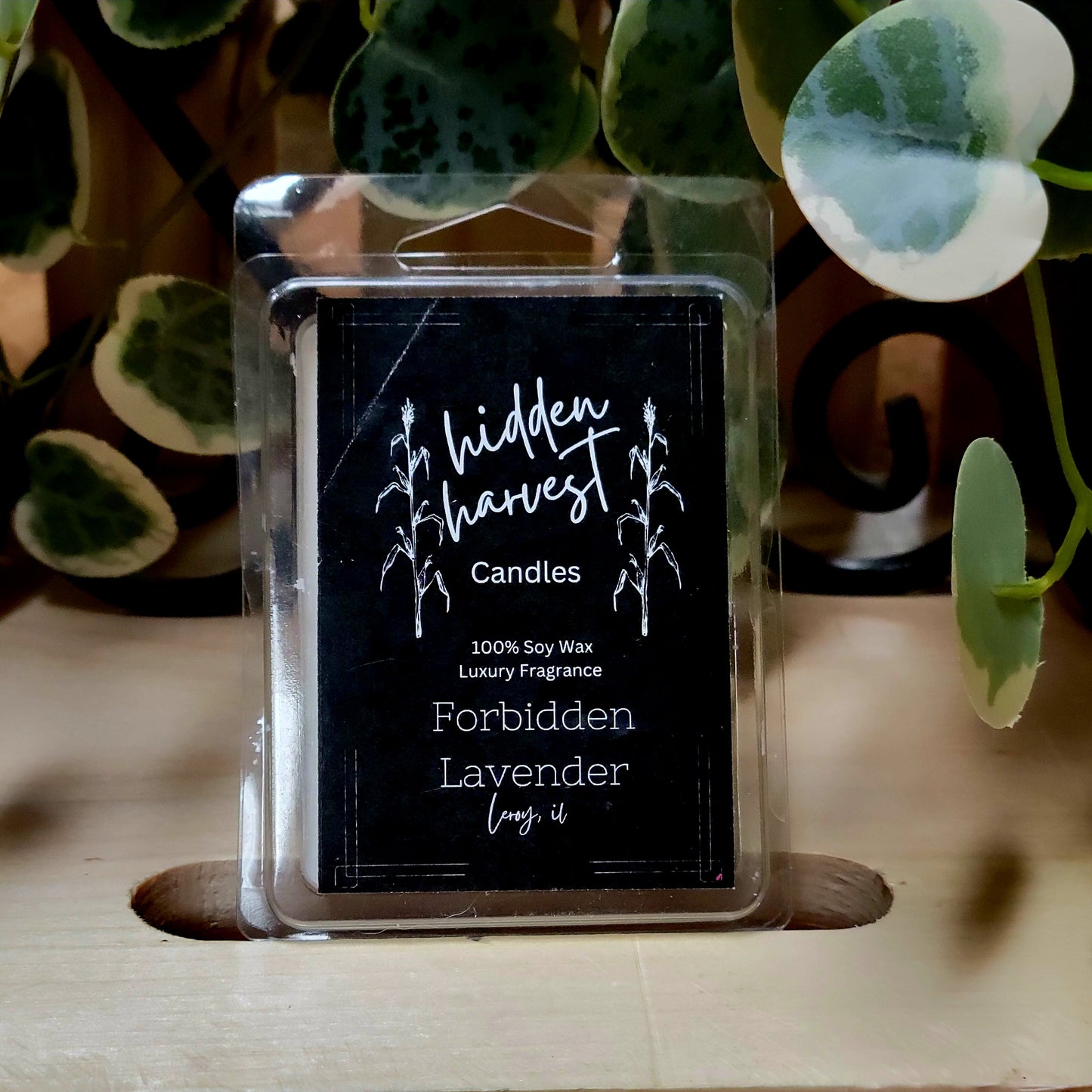 Forbidden Lavender Candle