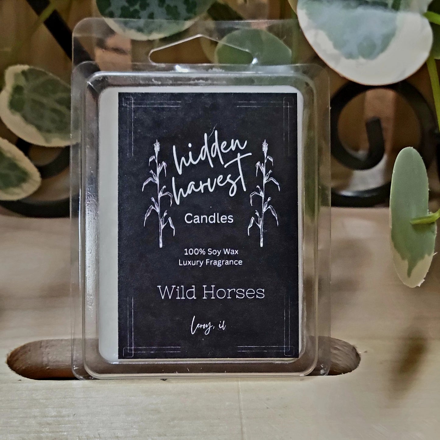 Wild Horses Candle